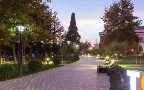 Санаторий Чинар (Chinar & Spa) - 10