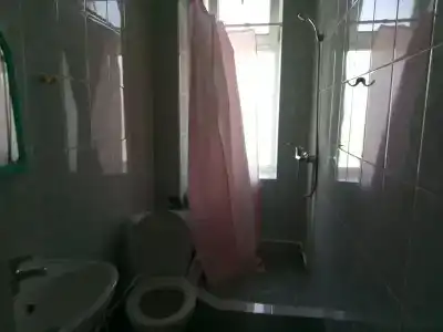 София - 15