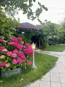 Магнит успеха - 2