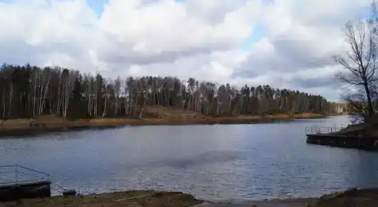 Флора Парк - 8