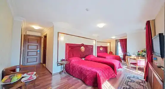 Antea Palace & Spa - 9