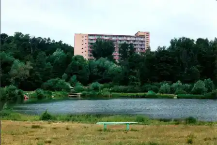 Воробьево - 45