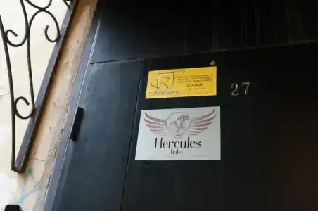 Геркулес - 24