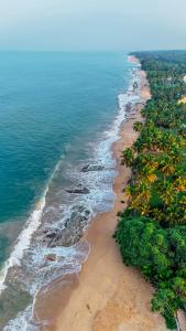 Sheraton Kosgoda Turtle Beach Resort - 2