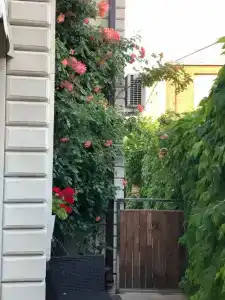 Дом под липой - 0