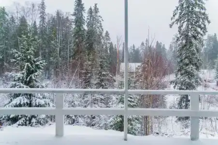 Панорама дом с сауной и видом на лес - 1
