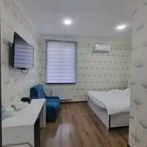 Парвоз - 13