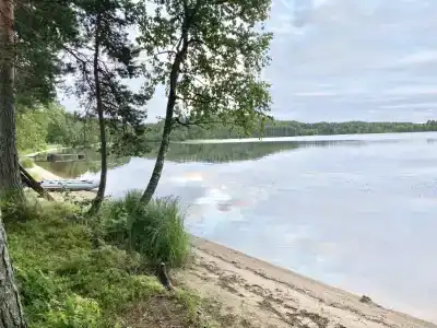 Большой Пряжинский - 12