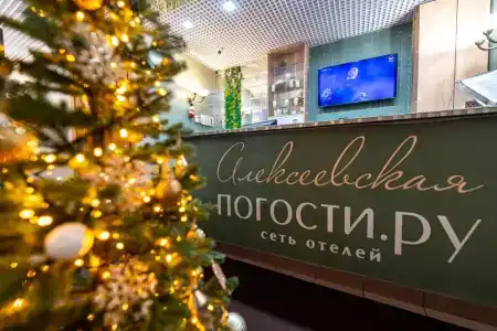 Погости на Алексеевской - 3