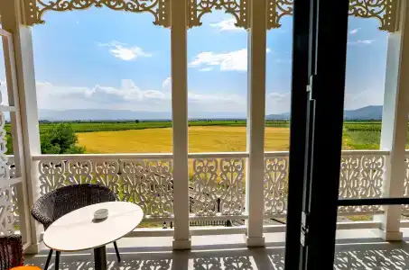 Chateau Artwine - 51