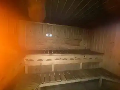 Байкальский кедр - 21