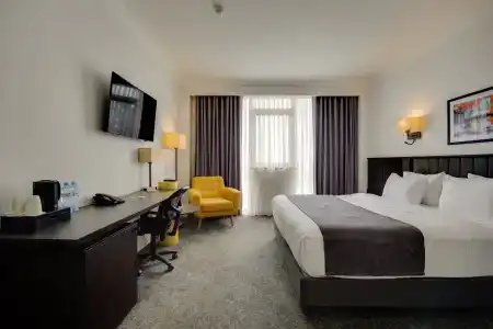 Pine Astoria - 33
