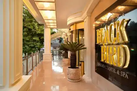 Black Bird Thermal & Spa - 2