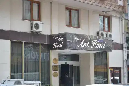 Grand Ant - 1