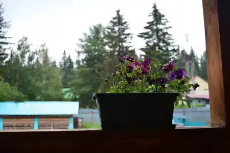 HomeSweetHome - 7