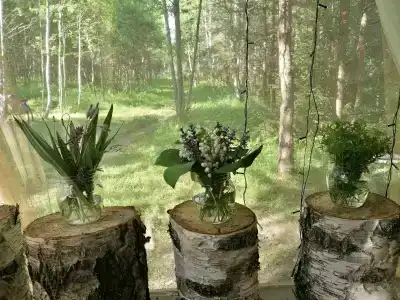 Звездный лес - 9