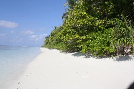 Boutique Beach All Inclusive Diving - 14