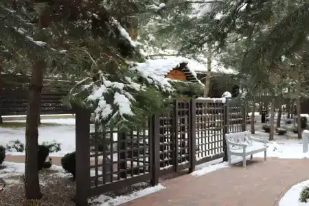 Петровские Паруса - 5