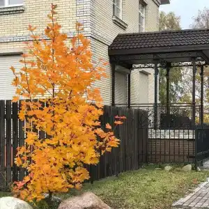 Чернышевская 39 - 7
