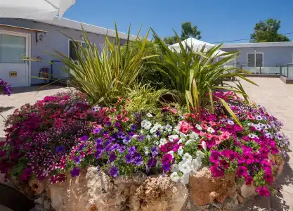 Paradice Luxury Suites - 41