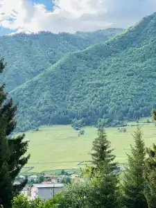 Shgedi Mestia - 1