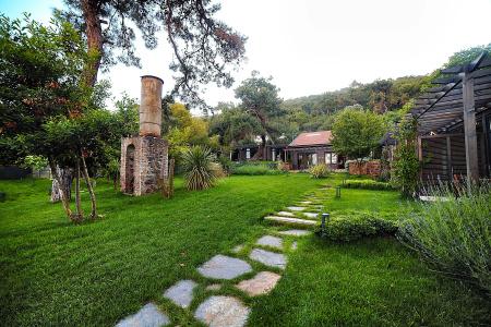 Triada Büyükada - 1