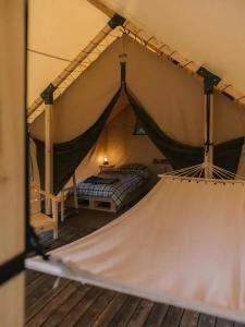 Charyn Canyon Camp - 15