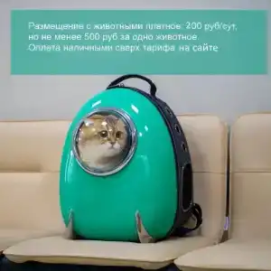Суточноростов - 12
