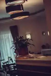 Любимый - 2