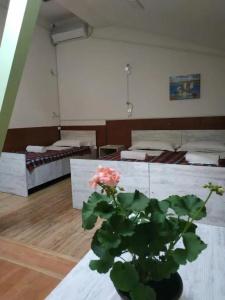 Hostel Portal - 6