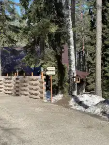 Алёкка - 47