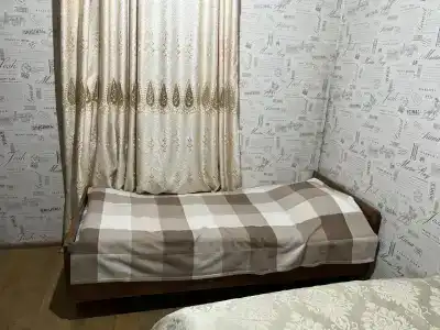 Алиса - 16