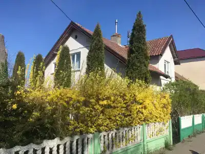 У Рыбного двора - 8