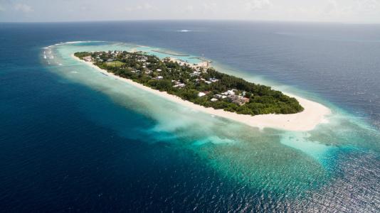 Beach Residence - 10