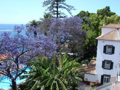 Quinta Da Penha De Franca - 41