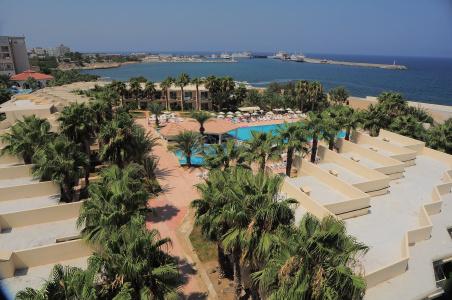 Oscar on a Sandy Beach & Casino - 19