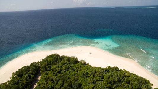 Beach Residence - 14