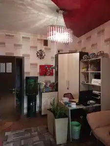 Брусника - 4