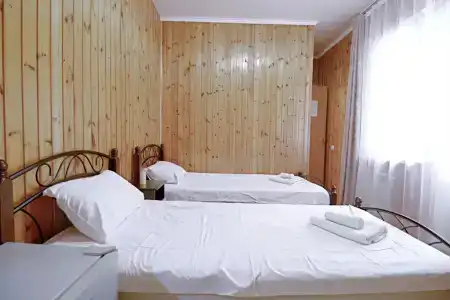 Инжир - 19