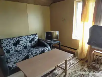Ольха - 3
