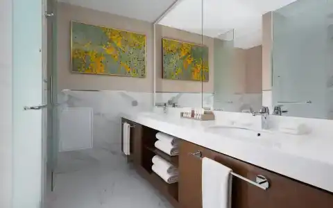 Swissôtel Wellness Resort Alatau Almaty - 15