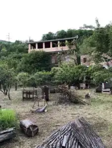 Лика - 0