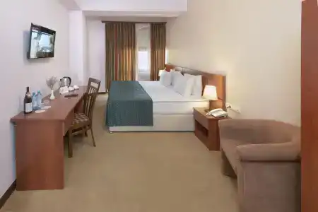 Ani Central Inn - 55