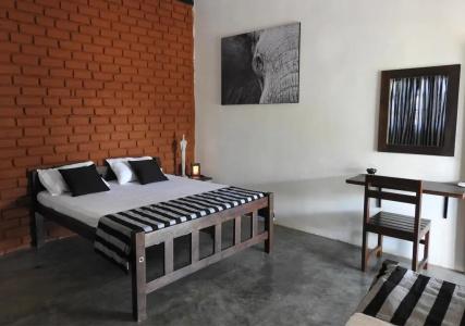 THE ELEPHANT PASS - YALA - 6