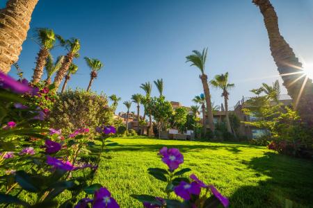 Jewels Sahara Boutique Resort - 12