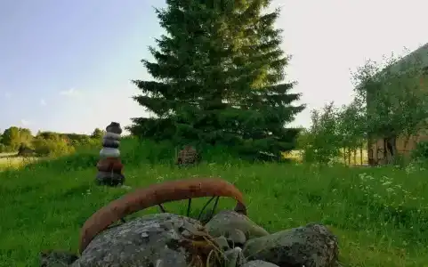 Иринин Дом - 16