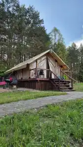 Магия леса в Беловежской пуще - 116