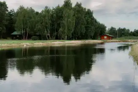 Дзик - 7