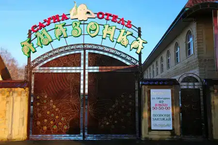 Амазонка - 2