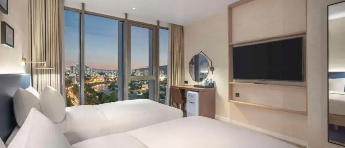 Hilton Garden Inn Tbilisi Riverview - 21